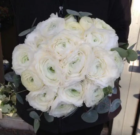 Aime and Mark Aime and Mark